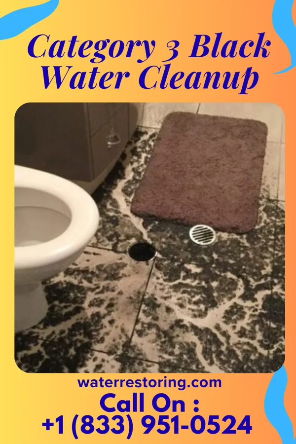 Category 3 Black Water Cleanup in Alburnett, IA