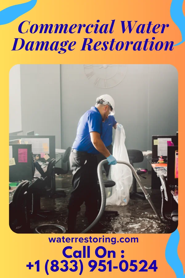 Commercial Water Damage Restoration in Alburnett, IA